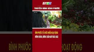 Bình Phước tổ chức nhiều hoạt động mừng Đảng, mừng Xuân Quý Mão 2023 #shorts  | BPTV