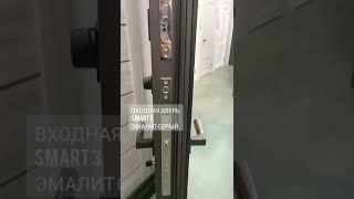  ВХОДНАЯ ДВЕРЬ С УМНЫМ ЗАМКОМ Smart 3 эмалит серый 
