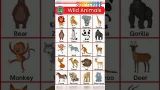 wild animals name | 20 wild animals name | 10 wild animals name