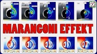 Der MARANGONI EFFEKT und seine Folgen [Compact Physics]