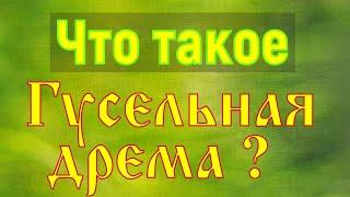 Что такое Гусельная Дрёма?