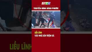 Liều lĩnh vào nhà dân trộm gà  #shorts  | BPTV