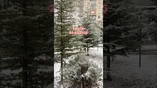 Снег в Тбилиси утром 20.02.2025 #tbilisi