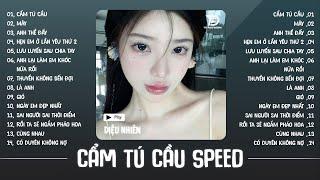 Cẩm Tú Cầu Speedup - Chờ người từ lúc nắng dần buông… | Playlist Speedup tập trung học bài