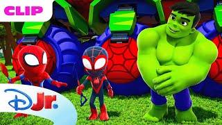 Marvel's Spidey and his Amazing Friends | Hulk Becomes a Squirrel | @disneyjr