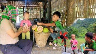 The boy went to pick grapefruit to sell and bought a fan.