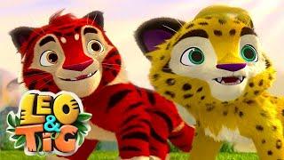 Leo and Tig  Best Stories  LIVE  Funny Family Good Animated Cartoon for Kids