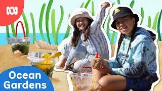 Making an ocean garden! ️ | Gardening Australia Junior | ABC Kids