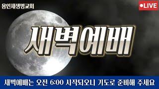 2025-01-17ㅣ김향숙 목사ㅣ용인새생명교회 새벽예배ㅣ에스겔 33:1-9