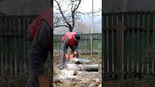 Старая китайская пила, несмотря на возраст, все еще в строю #chainsaw #stihl