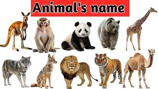 Animal's name in english | animals name for kids learning video