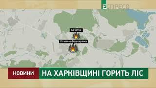 На Харківщині горить ліс