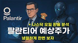 팔란티어 재무재표 옵션 차트분석 (feat. 나스닥 오일 환율)