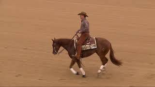 Cool Couture and Brian Bell High Roller Reining Classic Open Futurity