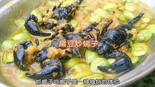 扁豆炒蝎子，夏日滋补美食，你吃过蝎子吗？