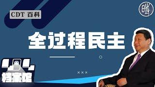 【CDT百科】“全过程民主”是什么梗？为何被称为“全票通过的民主”