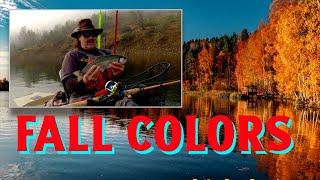 How To Catch Fall Trout On Minnows