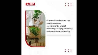 Transform your business with our eco-friendly paper bag packaging solutions!