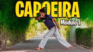 FREE Capoeira Course 2024 (English sub) | LEVEL: Beginners