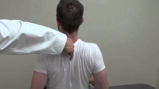 BOSSHIN PT 54   Shoulder Blade Pinch