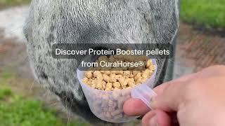 Support your horse's topline and muscle health with balanced protein and Omega-3s.