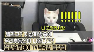 신현리부동산의 평범한 일상 브이로그