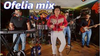 Ofelia mix. Guanacos Swing desde Houston Texas 2023