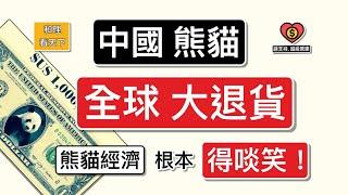 中國熊貓，「全球大退貨」！「熊貓經濟」根本「得啖笑」！全世界都諗計「退還」嗰D中共「大窮貓」..