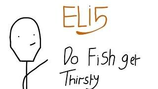 Do Fish Get Thirsty? - ELI5