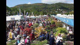 RHS Malvern Spring Festival - Shopping