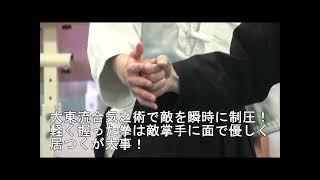 日本伝合気柔術（大東流）技法例１７