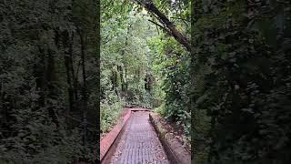 NOT THE 39 STEPS...Easier coming down