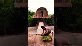 Building The Most Amazing Tunnel Underground House With Pool#fyp #bamboo #junglehouse #experiment