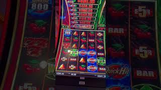 Omg got it accidentally in 6 dollar bet  #alejandrespage #slot #casinogames #casinolife