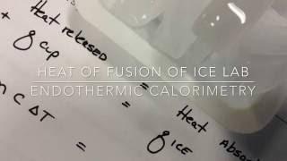Heat Of Fusion of Water Lab