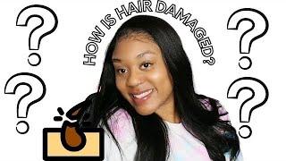 How to retain length? Why hair breaks off so fast? How to retain length the easy way! Cyn Doll