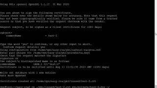 How to install openvpn on Ubuntu-20.04
