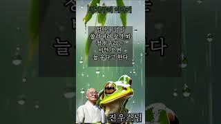 청개구리 이야기 - 진우스님의 오늘의 명상  #불교 #명상 #진우스님