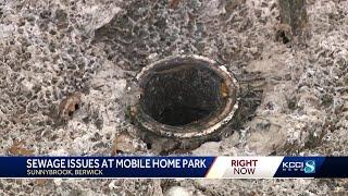 Residents of central Iowa mobile home park continue to see raw sewage backups