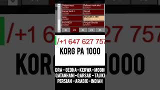 PA100 KORG Middle eastern set #shortsfeed