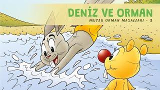 Deniz ve Orman - Sesli Masal Dinle - Okul Öncesi Eğitim