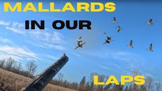 Blasting Birds - 2 Man Limit!