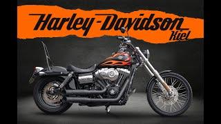 Harley-Davidson Kiel FXDWG DYNA WIDE GLIDE - KESSTECH KOMPLETTANLAGE