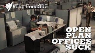 Why open plan offices suck for everyone I The Feed