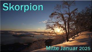  Skorpion - Mitte Januar 2025   -  Ich will dich zurück  -