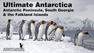 Southern Ocean for Photo Safaris