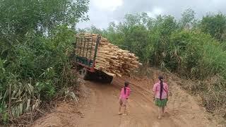 xe độ chở gỗ - Homemade trucks in Vietnam are extremely strong.