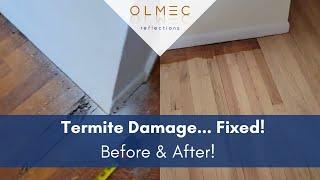 Termite Damaged Wood Replaced!