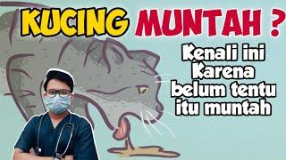 BENARKAH YANG KELUAR DARI MULUT KUCING ITU MUNTAH? || drh Mirza Yusa || DOKTER HEWAN