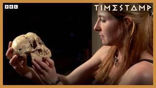 Prof Alice Roberts Uncovers Incredible Origins Of Ancient Humans | BBC Timestamp